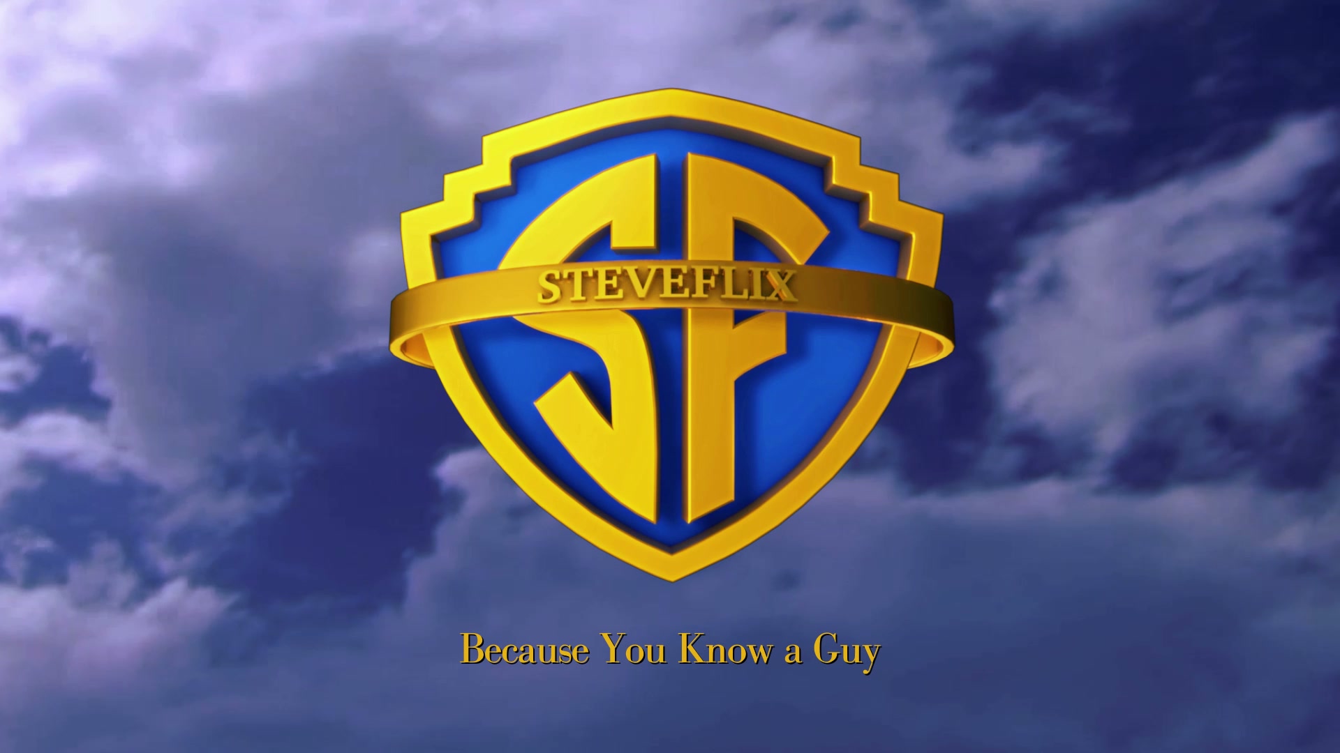 STEVEFLIX - Because You Know a Guy