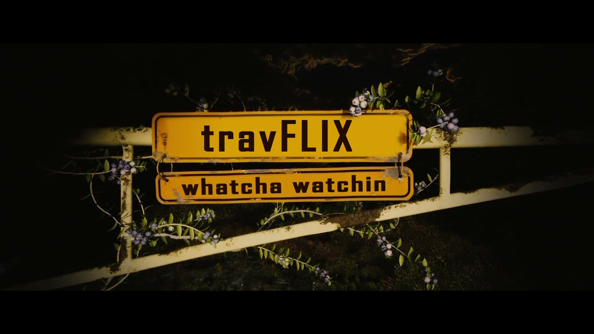 travFLIX - whatcha watchin
