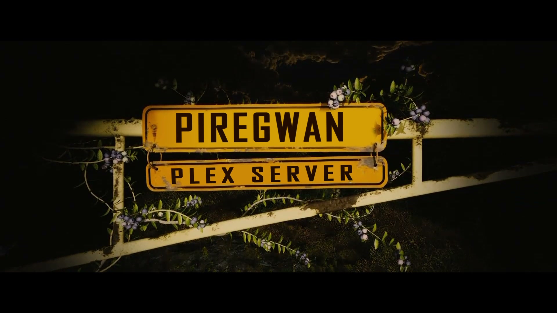 PIREGWAN - PLEX SERVER