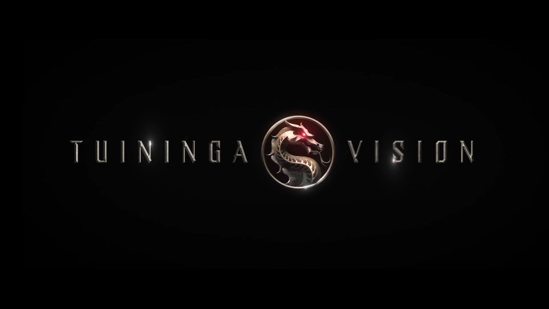 TUININGA VISION