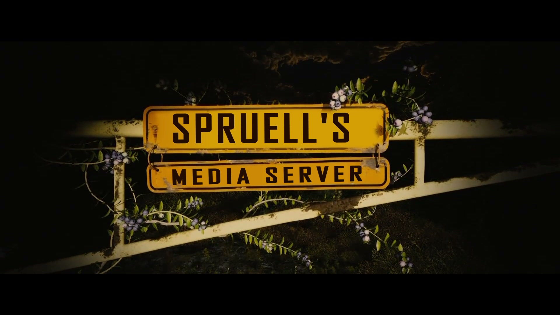 SPRUELL'S - MEDIA SERVER